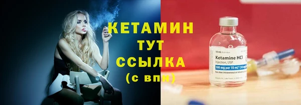 крисы Надым