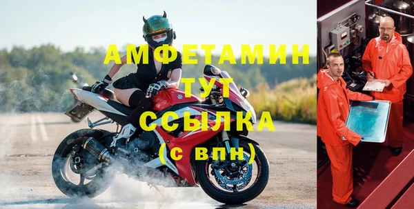 крисы Надым