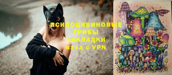 хмурый Нефтекумск