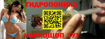 jwh Шахты