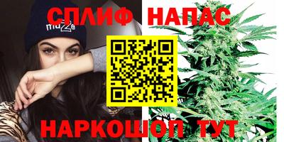 apvp Шебекино